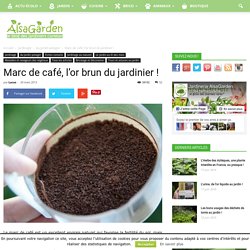 Marc de café, l'or brun du jardinier