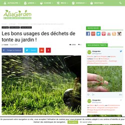 Blog Jardin Alsagarden - le magazine des jardiniers curieux