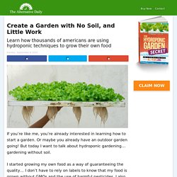Create a Garden with No Soil, and Little Work