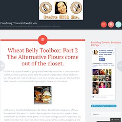 Wheat Belly Toolbox: Part 2 The Alternative Flours come out of the closet.