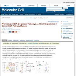 Alternative miRNA Biogenesis Pathways and the Interpretation of Core miRNA Pathway Mutants