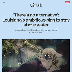 16 mars 2021 'There’s no alternative': Louisiana's ambitious plan to stay above water