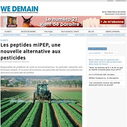 Les peptides miPEP, une nouvelle alternative aux pesticides