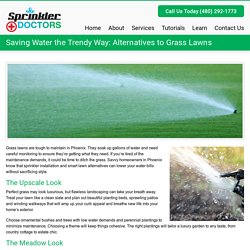 Saving Water the Trendy Way: Alternatives to Grass Lawns - Sprinkler DoctorsSprinkler Doctors