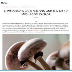 Always know your shroom and Buy Magic Mushroom Canada - Shafaa