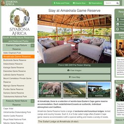 Lodges, Tented Camps, Country House (Accommodation)