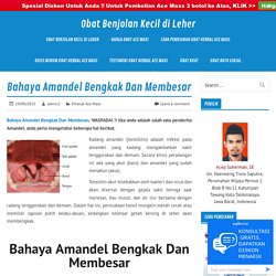 Bahaya Amandel Bengkak Dan Membesar