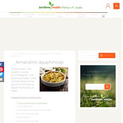 Amandine Dauphinoise : un délicieux gratin de pomme de terre