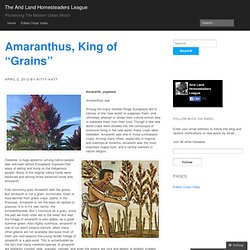 Amaranthus, King of “Grains” « The Arid Land Homesteaders League