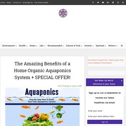The Amazing Benefits of a Home Organic Aquaponics System