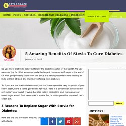 5 Amazing Benefits Of Stevia To Cure Diabetes