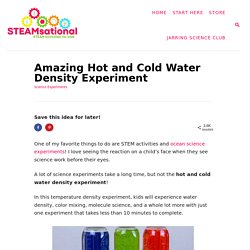Amazing Hot and Cold Water Density Experiment