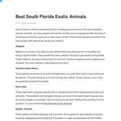 What Are Some Amazing South Florida Exotic Animals?