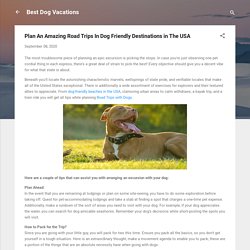 Plan An Amazing Road Trips In Dog Friendly Destinations in The USA