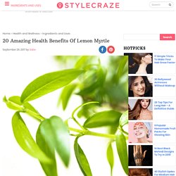 20 Amazing Health Benefits Of Lemon Myrtle