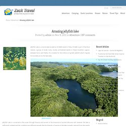 Zack Travel - StumbleUpon