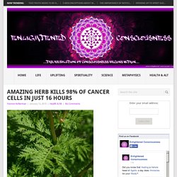 Amazing Herb Kills 98% Of Cancer Cells In Just 16 Hours