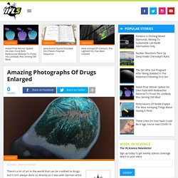 Amazing Photographs Of Drugs Under The Microscope