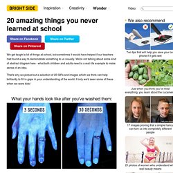 20 amazing things you never learned at school