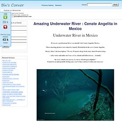 Amazing Underwater River : Cenote Angelita in Mexico - StumbleUpon