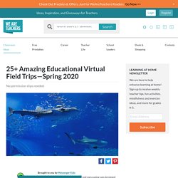 25+ Amazing Virtual Field Trips For When You Can't Be There in Person