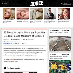 12 Most Amazing Wonders from the Golden Palace Museum of Oddities