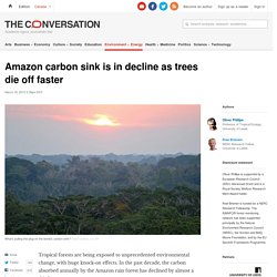 Amazon carbon sink is in decline as trees die off faster