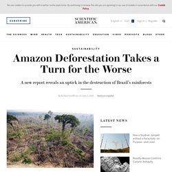 Amazon Deforestation Takes a Turn for the Worse