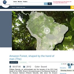 Amazonie, une forêt façonnée par l'homme (L')