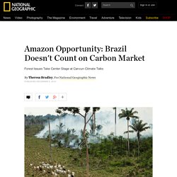 Amazon Opportunity: Brazil Doesn't Count on Carbon Market