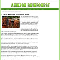 Amazon Rainforest Indigenous Tribes