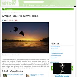 Best Way - Amazon Rainforest Survival Guide