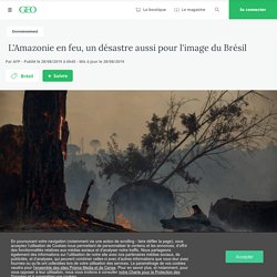 L'Amazonie en feu, un désastre aussi pour l'image du Brésil