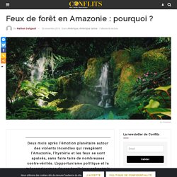 Feux de forêt en Amazonie : pourquoi ?