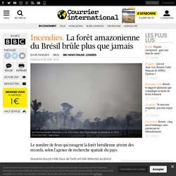 La forêt amazonienne du Brésil brûle plus que jamais