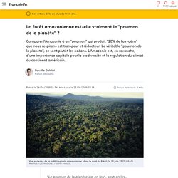 La forêt amazonienne est-elle vraiment le "poumon de la planète" ?