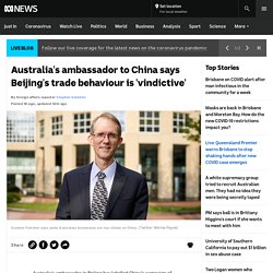 Australia's ambassador to China says Beijing's trade behaviour is 'vindictive'