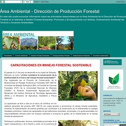 Área Ambiental - Dirección de Producción Forestal