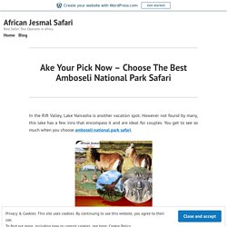 Ake Your Pick Now – Choose The Best Amboseli National Park Safari – African Jesmal Safari
