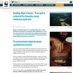 Orpaillage illégal en Guyane : 10 ans après la création du Parc Amazonien, aucune amélioration significative