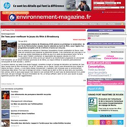 Aménagement Rhin