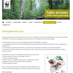 Programme Forêts Anciennes