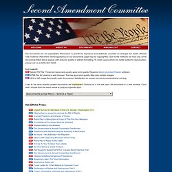 Second Amendment Committee