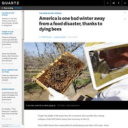 America is one bad winter away from a food disaster, thanks to dying bees
