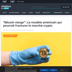 "Bitcoin vierge" : Le modèle américain qui pourrait fracturer le marché crypto