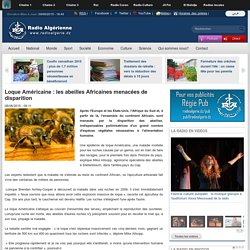 RADIO ALGERIE 08/06/15 Loque Américaine : les abeilles Africaines menacées de disparition