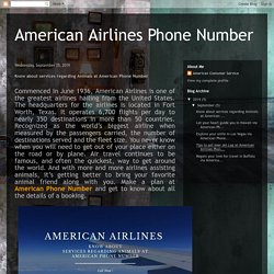 American Airlines Phone Number: Know about services regarding Animals at American Phone Number