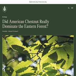Did American Chestnut Really Dominate the Eastern Forest? - Arnold Arboretum