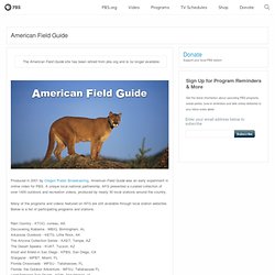 American Field Guide