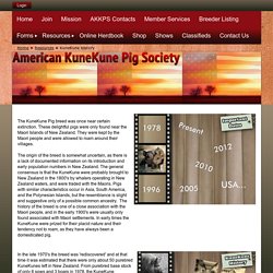 American KuneKune Pig Society - KuneKune History